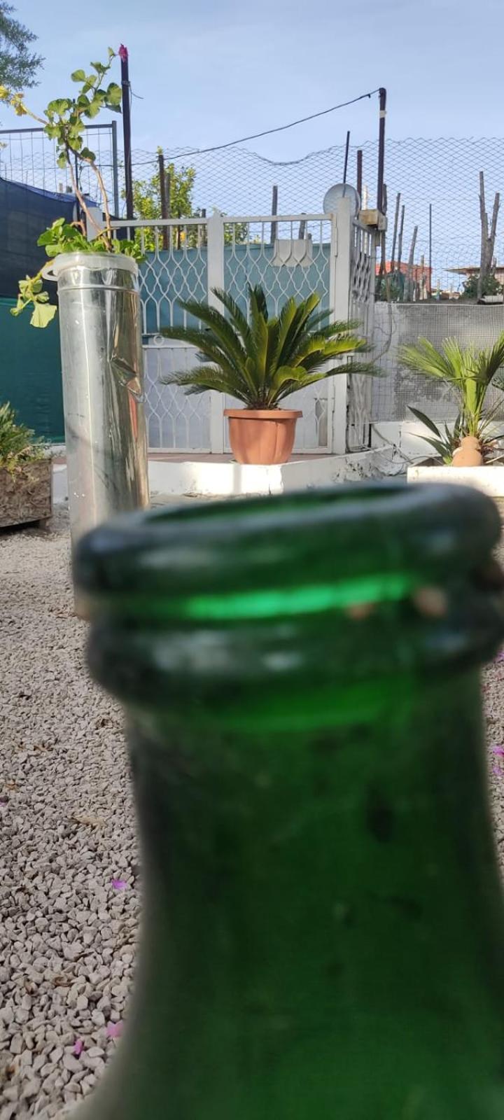 Garden Green Da Virna Torre Annunziata Exterior foto