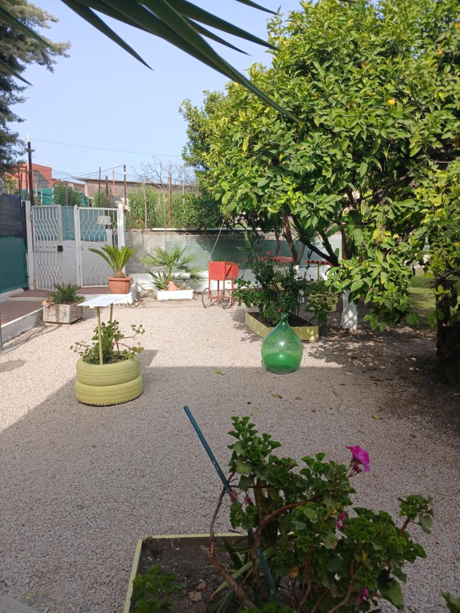 Garden Green Da Virna Torre Annunziata Exterior foto